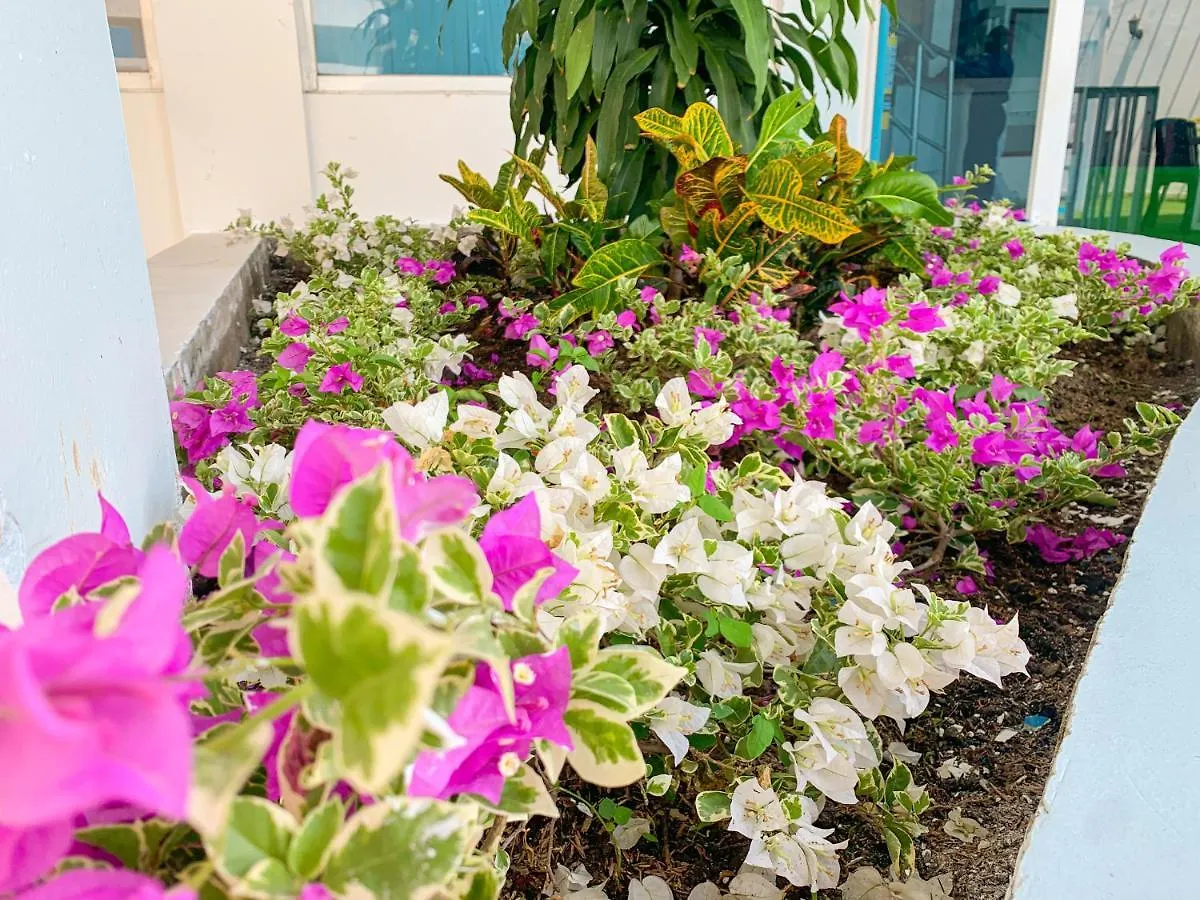 Hotel Abi Inn By Geh Suites Cartagena